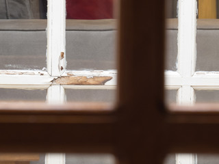 Glass pane with white peeling frame, rear view of wooden frame window, with room in background