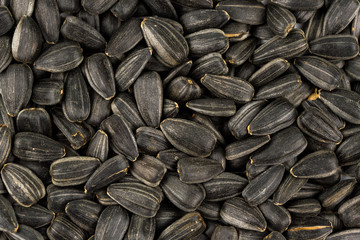 Sunflower Background