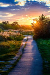 Evening rural landscape. A path in the rays of the setting sun. Sunset and sunrise.