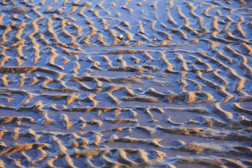 The texture of beach sand