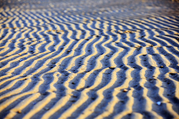 The texture of beach sand