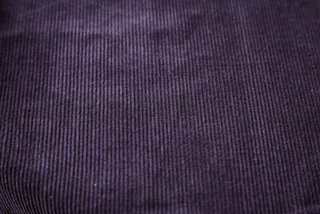 purple line velvet textile detail