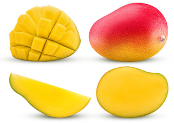 Collection mango exotic fruit, whole, cut in half, slice, cubes