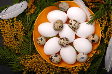 Easter table setting with white eggs with mimosa flower selective focus image. Happy Easter.