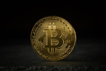 Bitcoin gold coin on black background. Bitcoin cryptocurrency. 