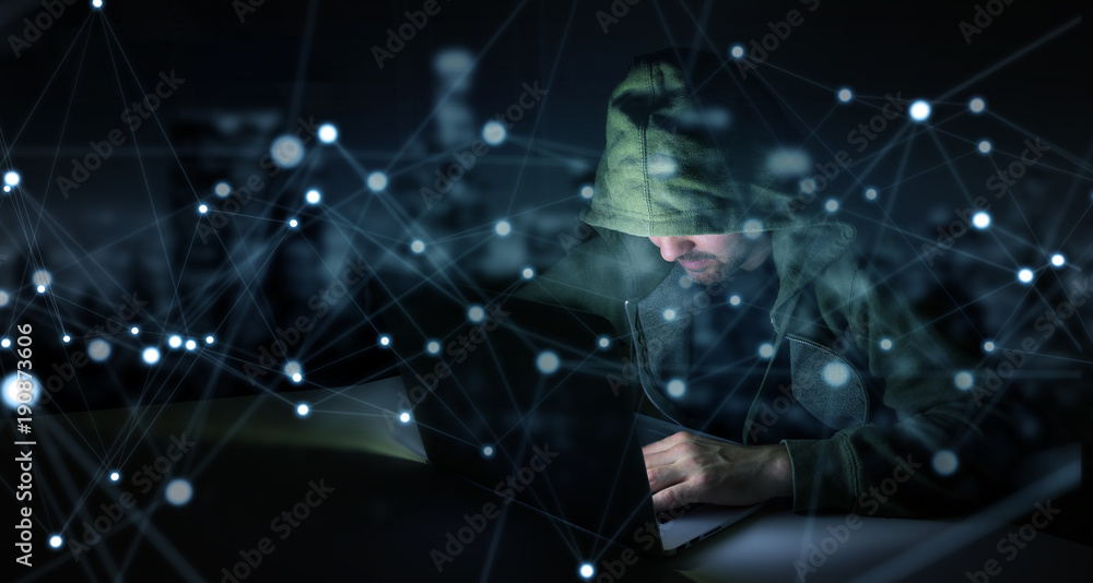 Leinwandbilder Hacker accessing to personal data information with a computer 3D rendering