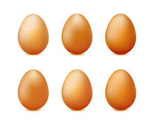 Realistic eggs set isolated on white background vector