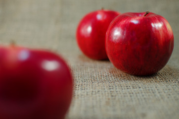 Red apples grow on the branches with leaves