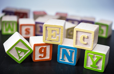 Kids blocks with the word Agency
