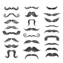 Set of hand drawn vector mustache.