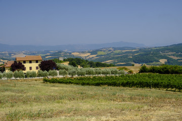 Country landscape from Orvieto to Todi, Umbria, Italy