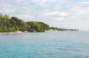 Fototapeta premium Traumhafter Ausblick auf Barbados