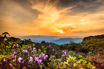 Sunset in the mountain at spring