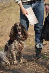 Woman and brown cocker spaniel in the forest