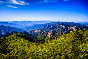 The mountain of spring covered with green leaves