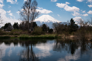Mt. Fuji Reflected in a Pond
