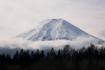 Fototapeta premium Mt. Fuji over a Forest on a Cloudy Day