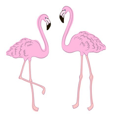 Tropical pink flamingo element design in white background.