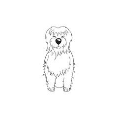 Tibetan Terrier cartoon dog icon