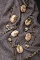 Chicken and quails eggs with decorative elements on black background