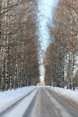 Obraz premium Winter landscape snow covered expanses. A park in the winter in 