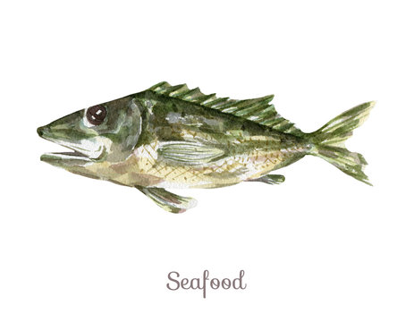 Watercolor seafood Clipart - fish