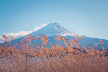 Beautiful landscape view of Fuji mountain or Mt.Fuji covered with white snow in winter seasonal at Kawaguchiko Lake, Japan.