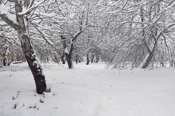 Snow-covered winter park and benches. Park and pier for feeding 