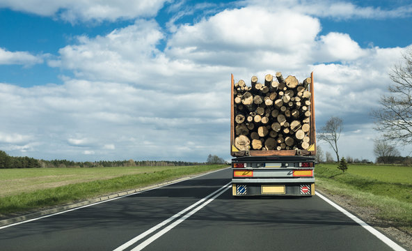 transport drewna ciężar&oacute;wką