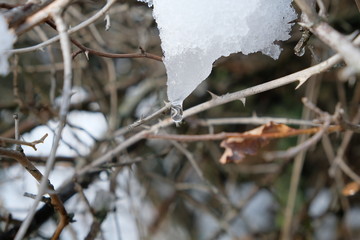 Goccia d'acqua