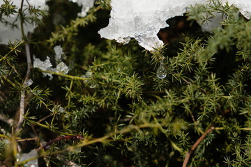 Goccia d'acqua