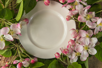 Plate framed with blossoming apple branches, copy space for your text