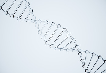 Glass DNA model,DNA structure