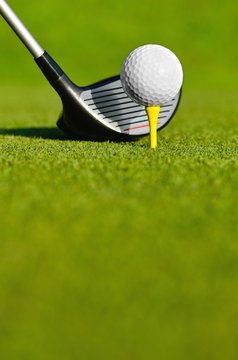 Let's golf today