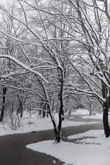 Snow-covered winter park and benches. Park and pier for feeding 