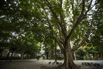 Street chaozhou, guangdong, China