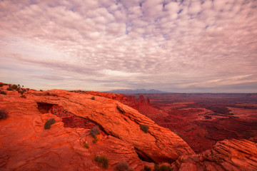Red Rock and Abajo Mountains in the distance from the Green River Overlook in Canyonlands National Park Island in the Sky District near Moab Utah in the American Southwest desert