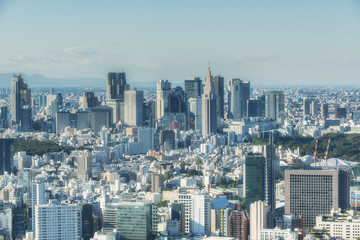 Tokyo aerial view. Japan.