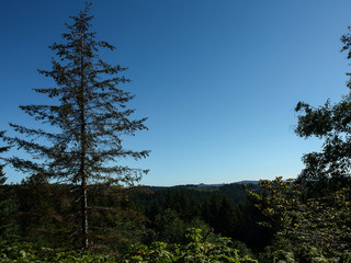 Driving through the USA in the car