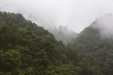 Green mountains in nepal