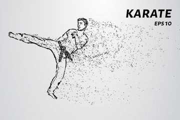 Karate of particles. Karate man in a kimono kick leg