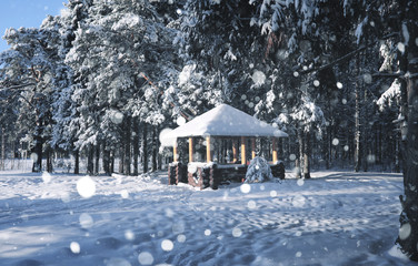 wooden gazebo in forest in the winter snow blizzard