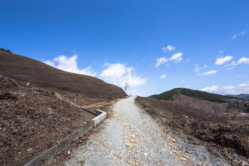 焼けた山