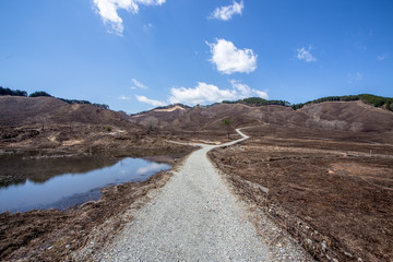 焼けた山