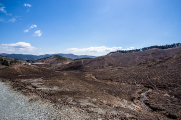焼けた山