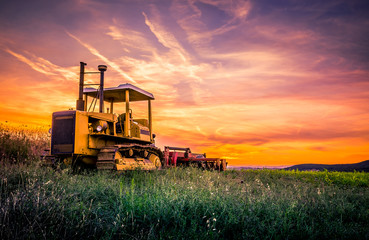 Fototapeta premium Caterpillar and amazing sunset