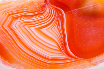 Macro mineral orange agate in crystals on white background © Minakryn Ruslan 