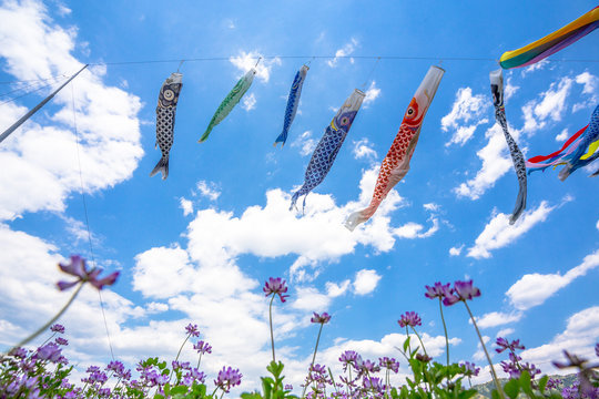 「レンゲ畑」の写真素材 | 1,754件の無料イラスト画像 | Adobe Stock