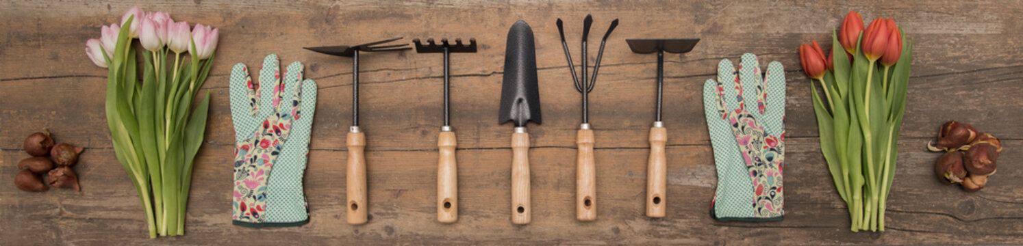 Red Tulips And Garden Tools On Rustic Background. Rake, Spade, Hoe, Gloves