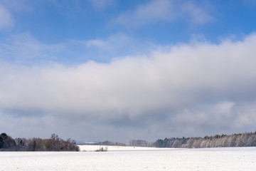 Fototapeta premium Field under white snow by forest near Kostelec nad Cernymi Lesy